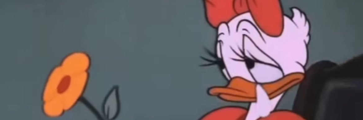 berlinnnashley's profile banner image