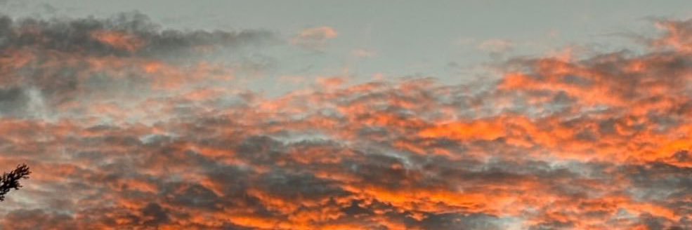 sam_valv's profile banner image