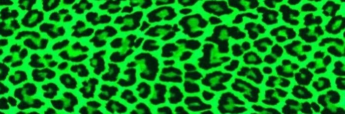 MsReboot_5k's profile banner image