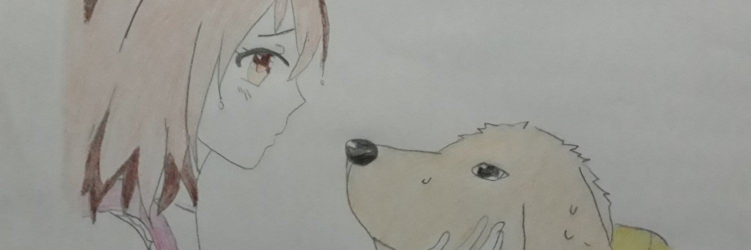 nancybordon's profile banner image