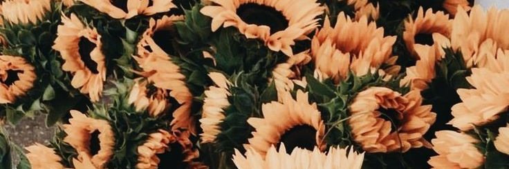 mariagg96_'s profile banner image