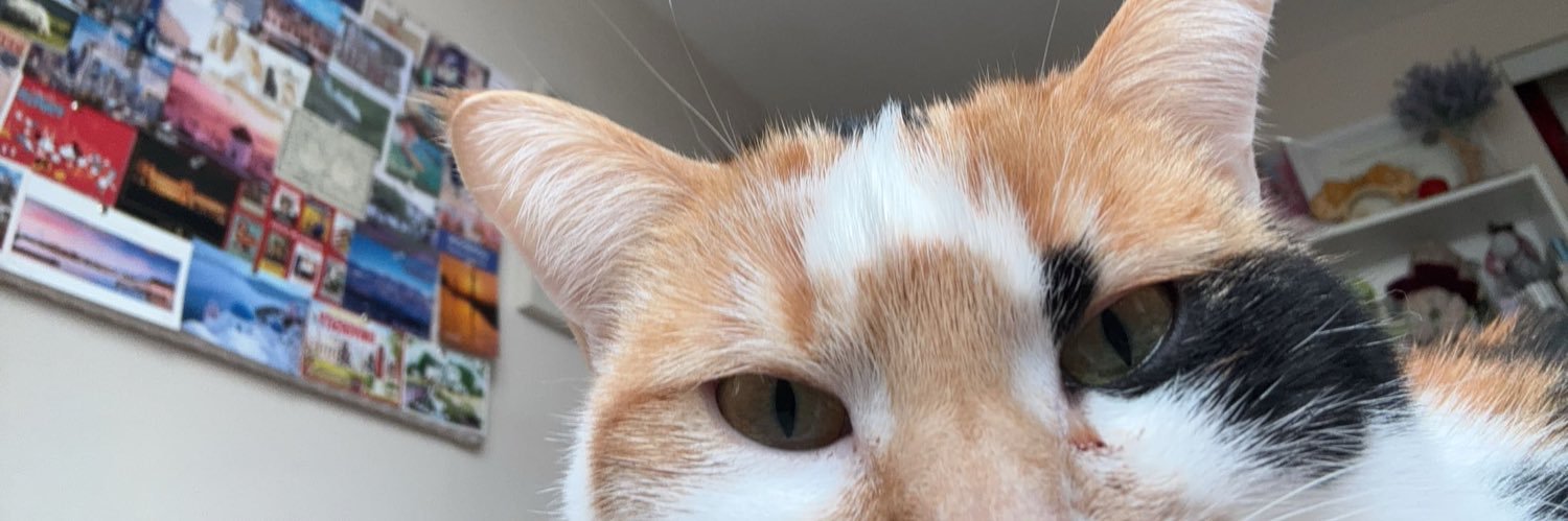 taylorretter's profile banner image