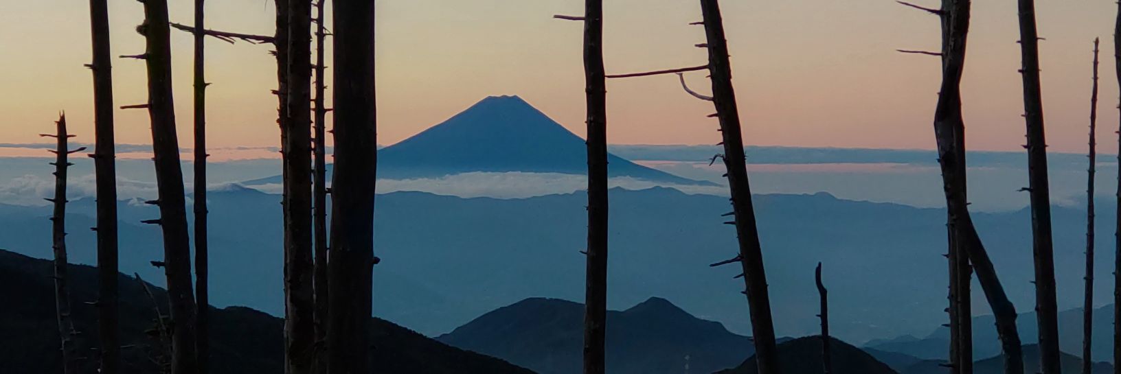 TaKo banner