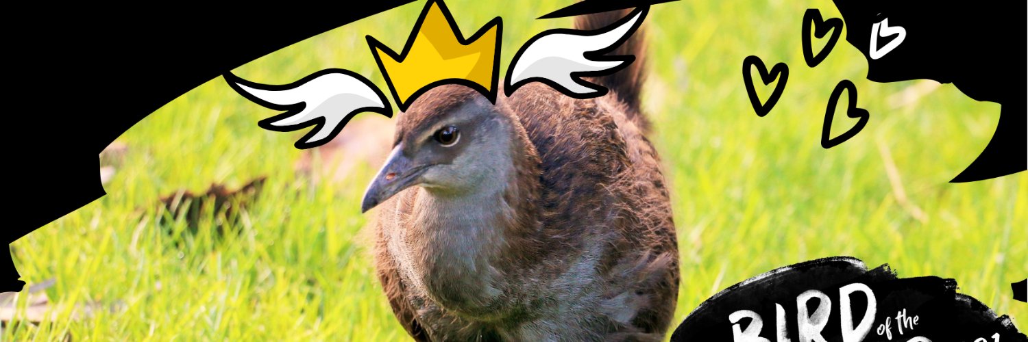 VoteWeka's profile banner image