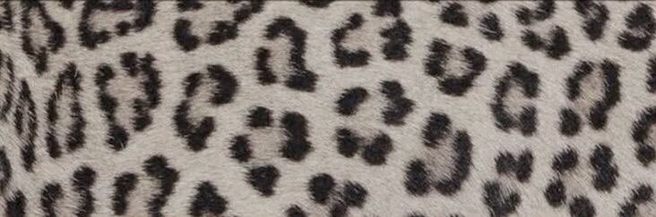 b banner