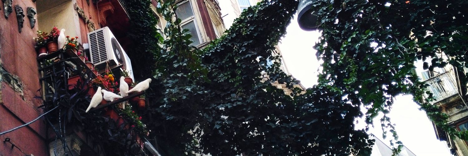 marstakivi's profile banner image