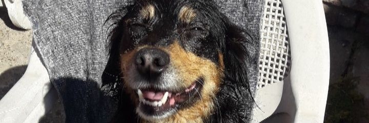 FernandooSanz's profile banner image