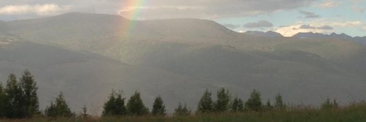 iamsoerin's profile banner image
