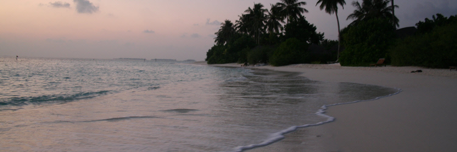 PJStox's profile banner image