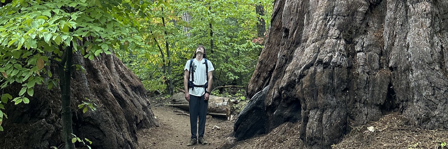 JessieJDickson's profile banner image