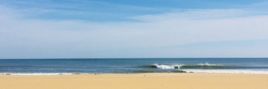 Crystal Strom banner