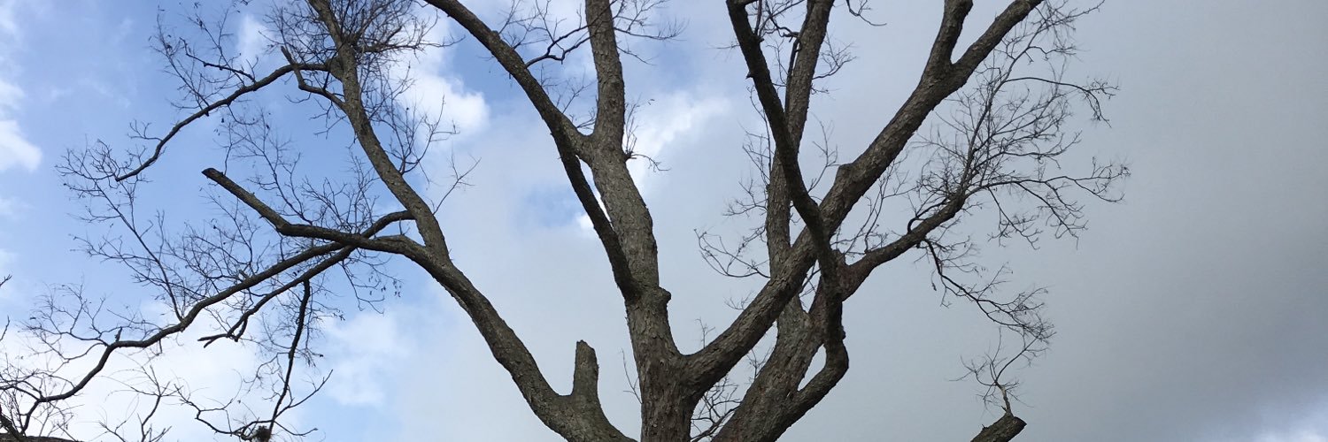 ricker812's profile banner image