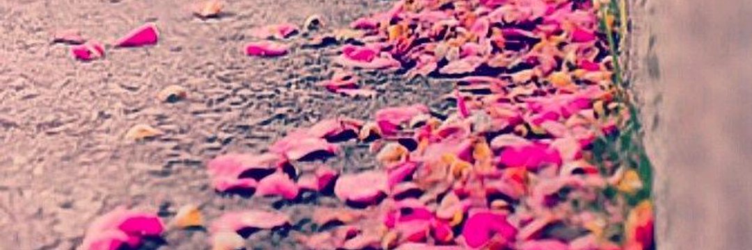 Randa_RM's profile banner image
