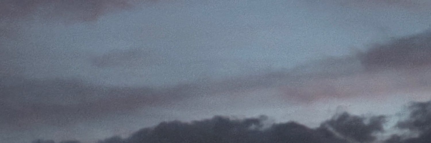 dvrstyofslnce's profile banner image