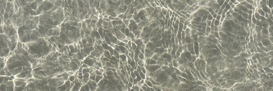 🧚🏽‍♀️ banner