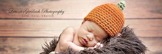 Larissa Goodrich banner