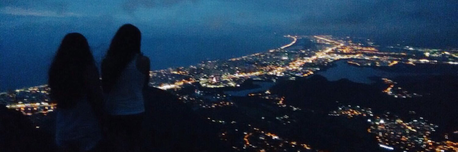carrarinii's profile banner image