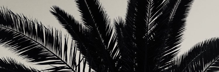 fratelli_87's profile banner image