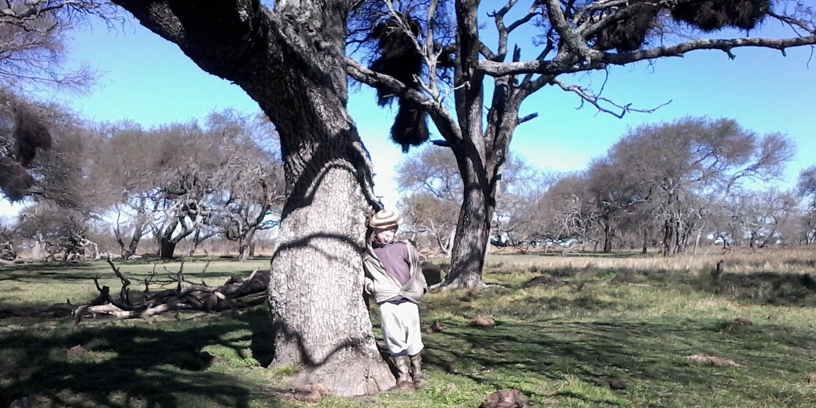 Juan I Mendiburu 🇺🇦🇦🇷🇻🇪 banner