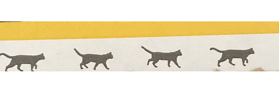 🐾みりヰ🐈‍⬛ banner