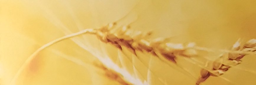 xisonscom's profile banner image