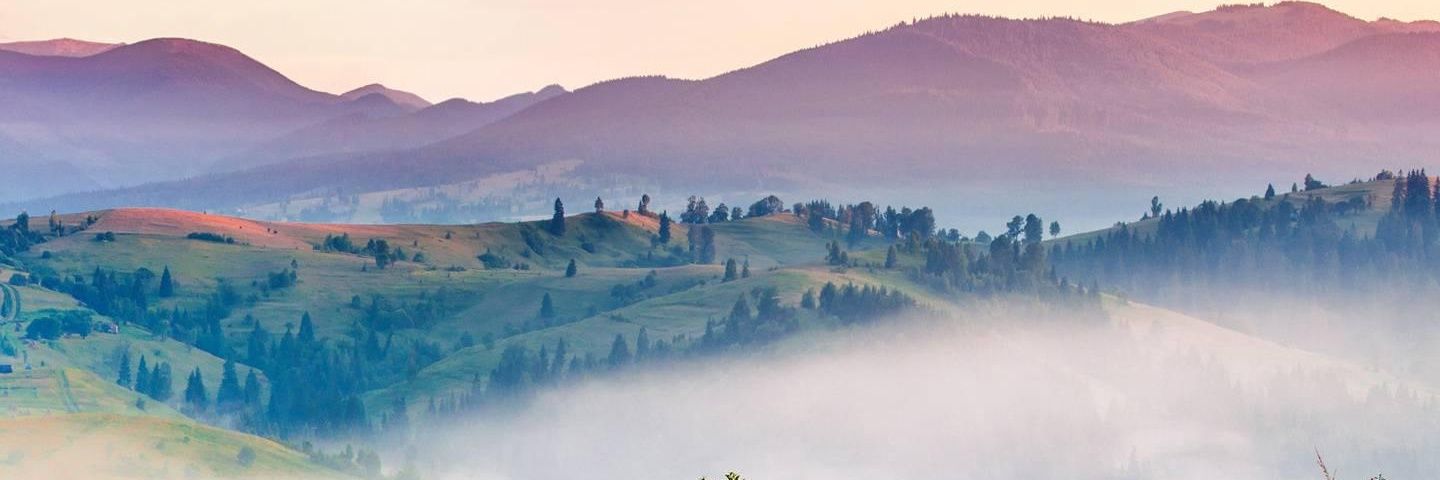 _MennaBatista's profile banner image