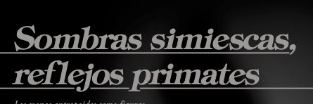 Rubén Gómez Soriano banner