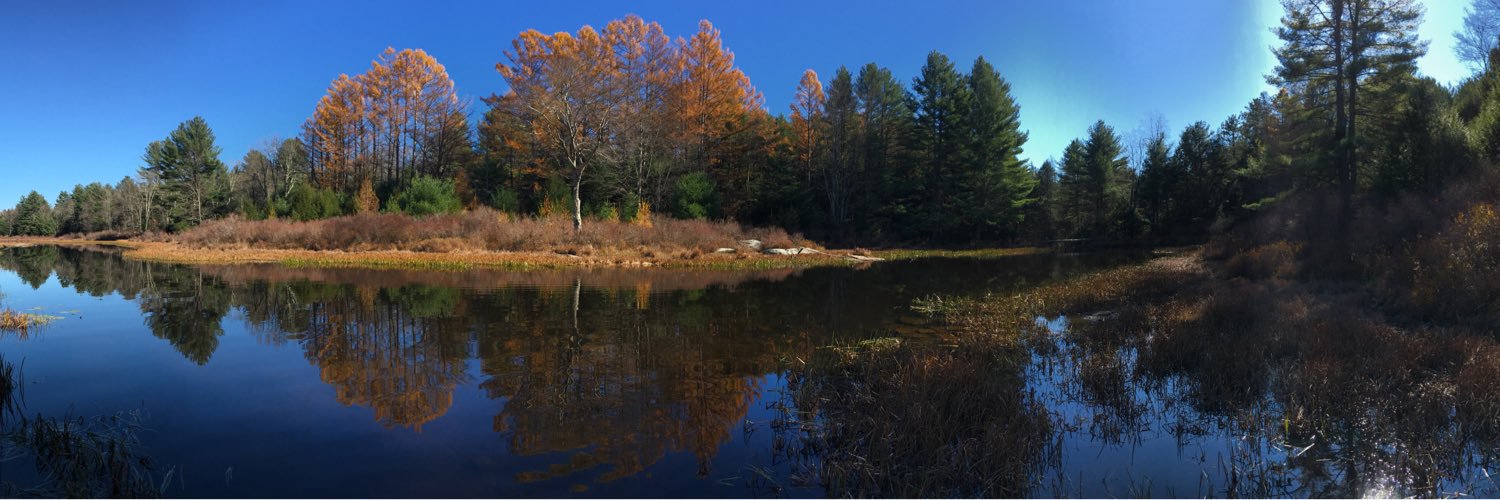 Meredith VanAcker banner