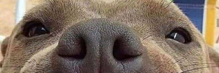 CaballeroJESSI's profile banner image