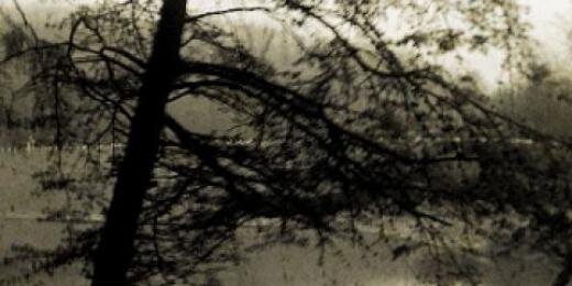 FullerofGrace's profile banner image