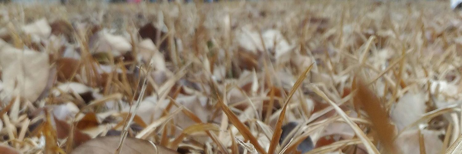 nuneth's profile banner image