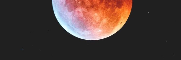 piscesbbun's profile banner image