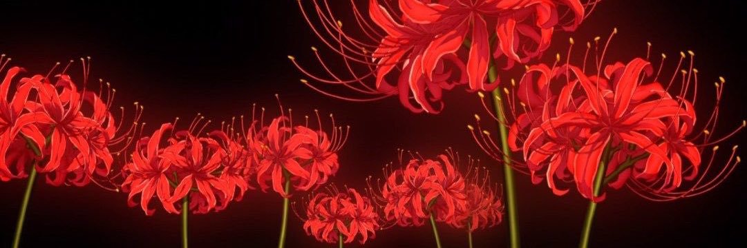 Kithigami's profile banner image