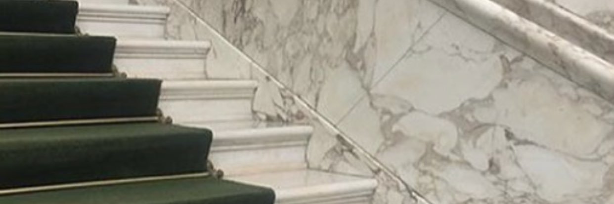 Melissa Fleis banner