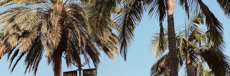 24Clary's profile banner image