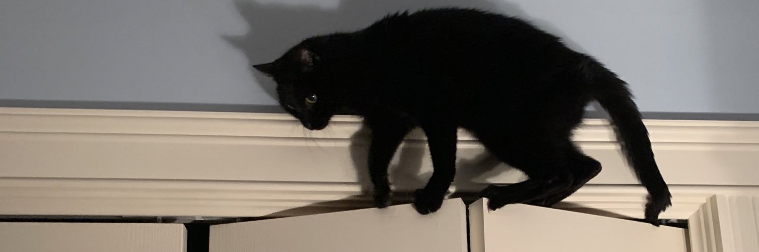 JillyMacAttack's profile banner image