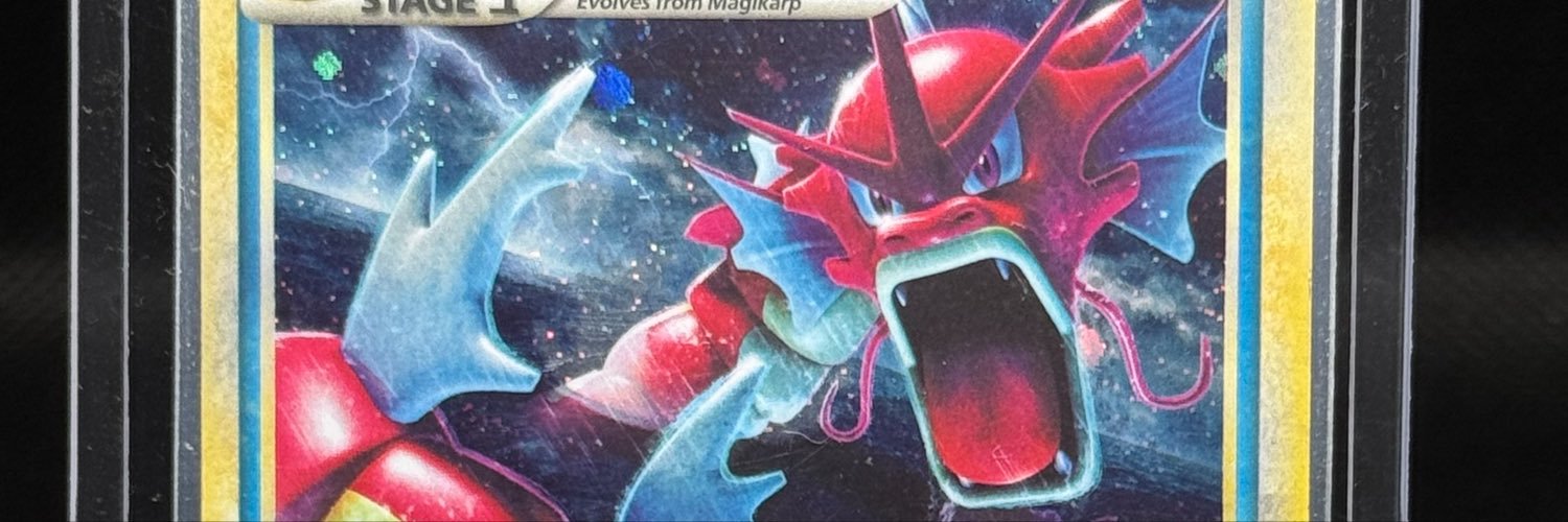 WrinklyGecko's profile banner image