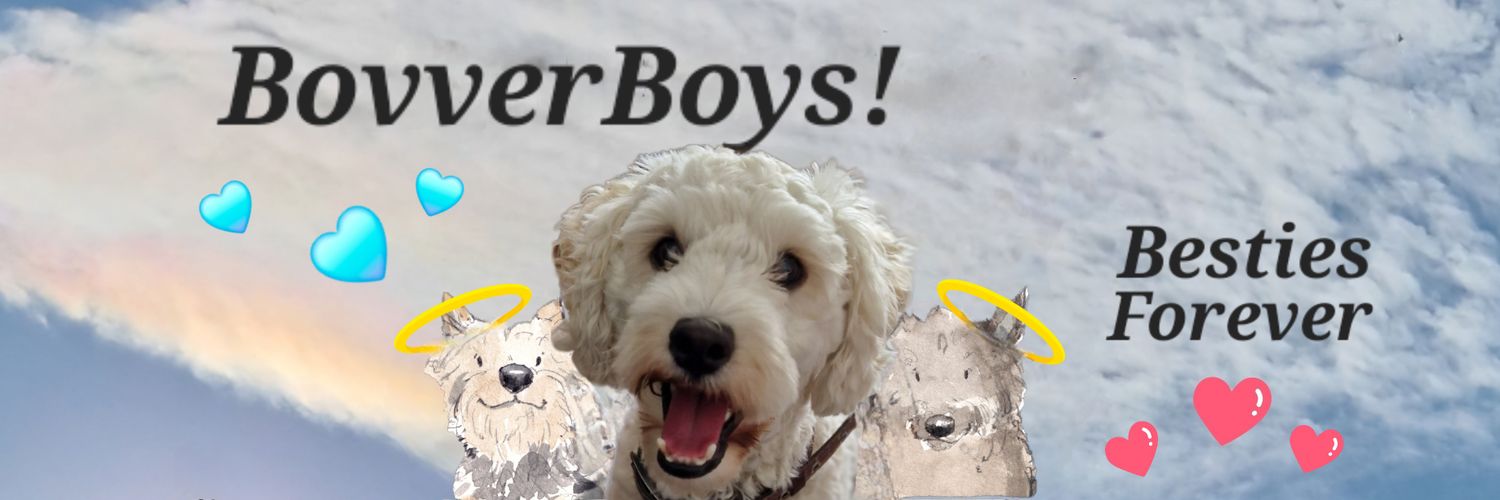 JACK BovverBoy's banner
