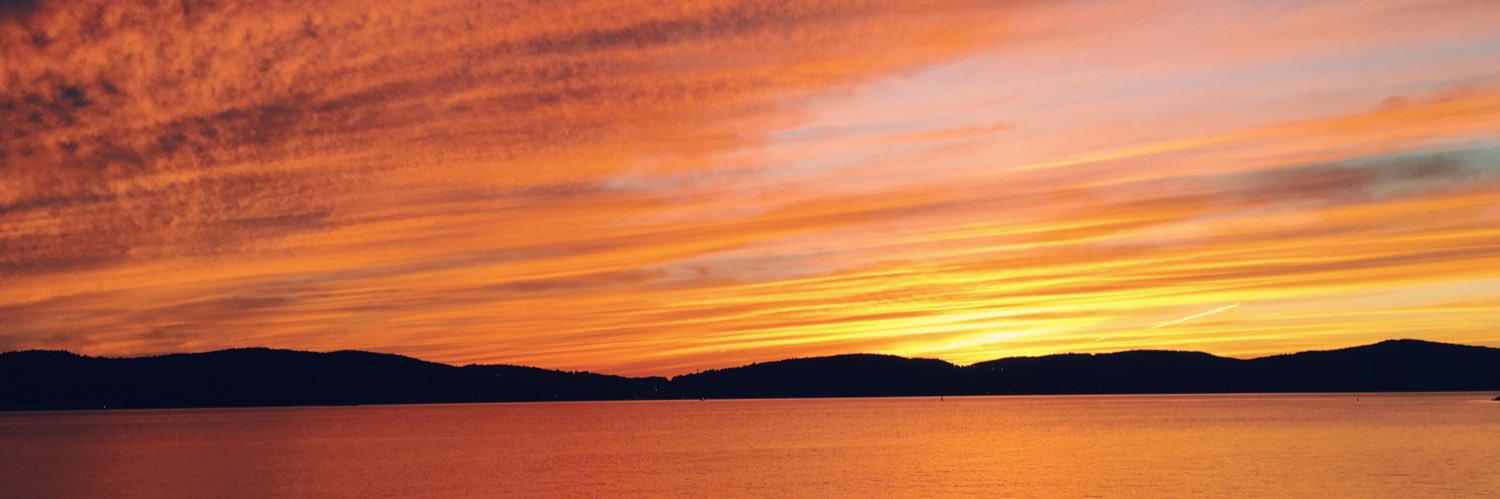 holaitscola's profile banner image