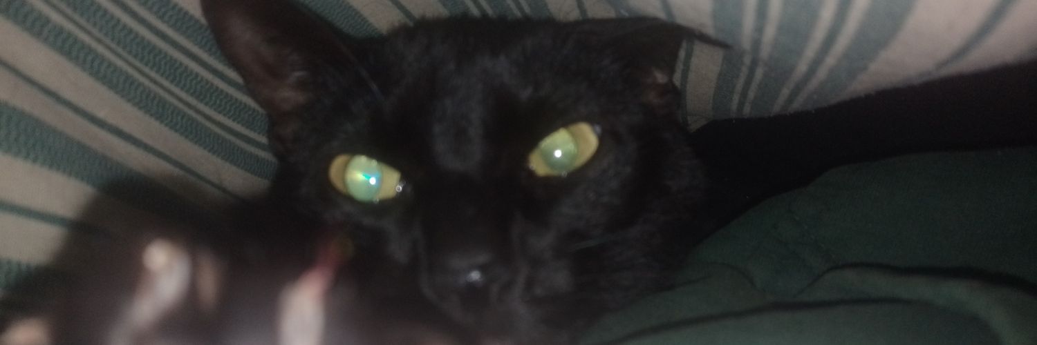 SolKiefl's profile banner image