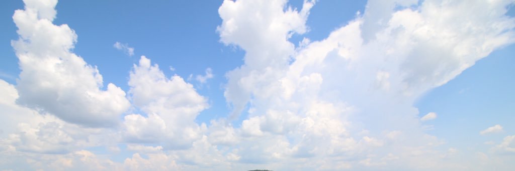 NumPhuengLemon's profile banner image