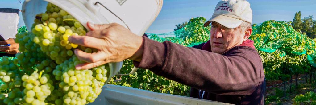 HatRanchWinery's profile banner image