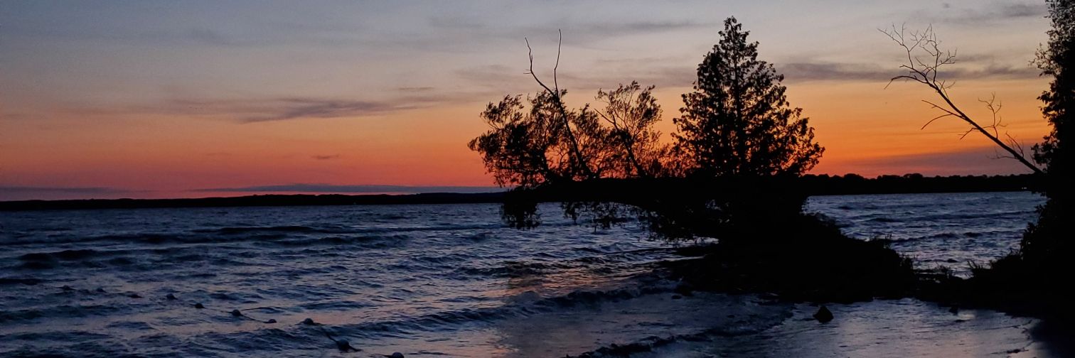 _mirissa's profile banner image