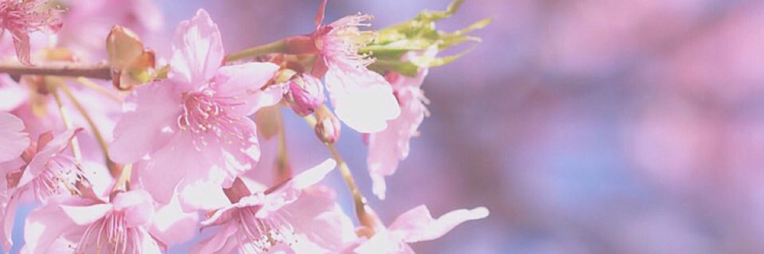 _mari_0330_'s profile banner image
