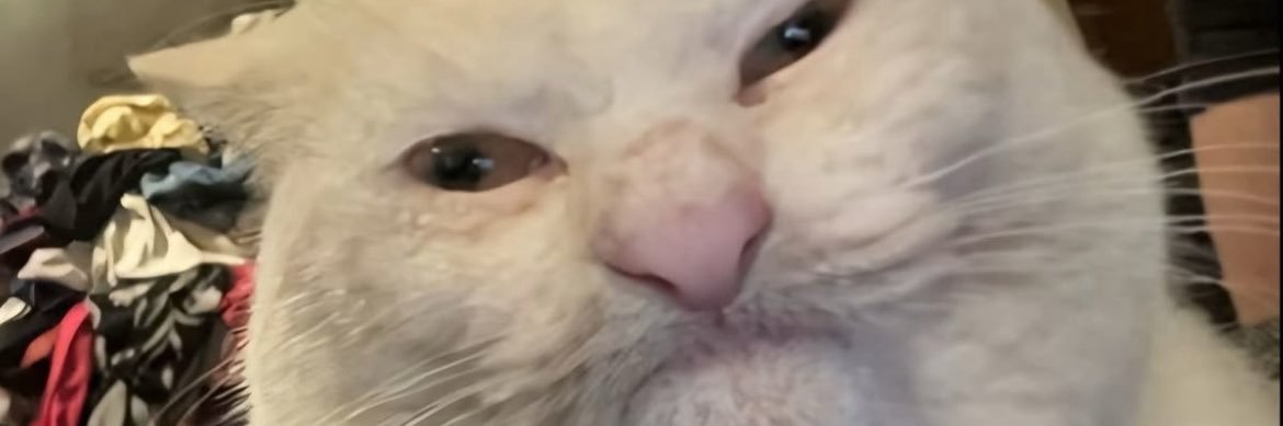 ThomazBonfim's profile banner image