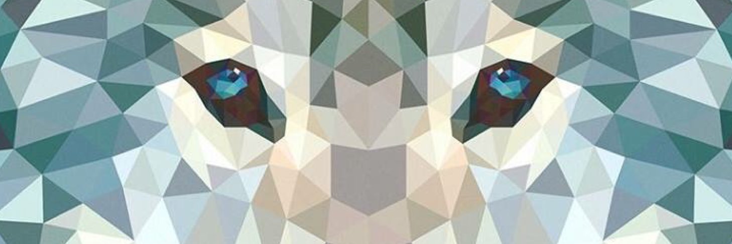 Martin Lungsta👑 Jr. banner