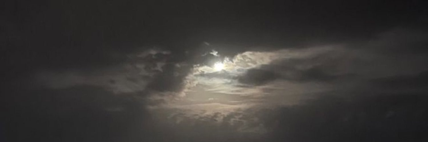 iilx67's profile banner image