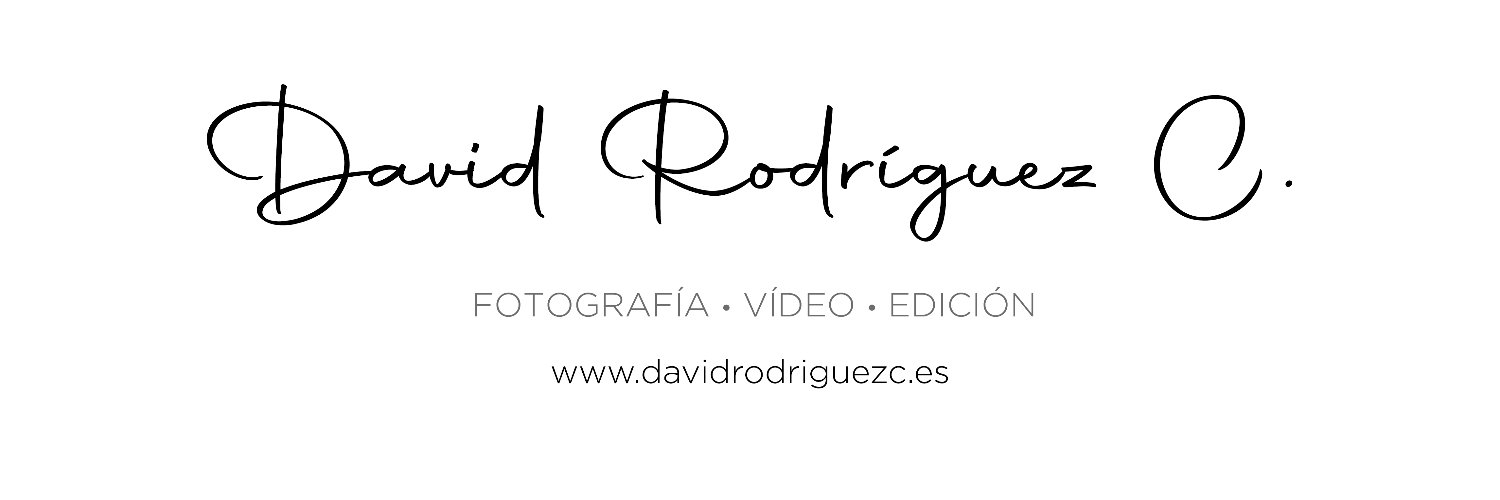 David Rodríguez C. banner