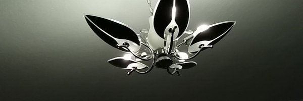 meralholep Profile Banner