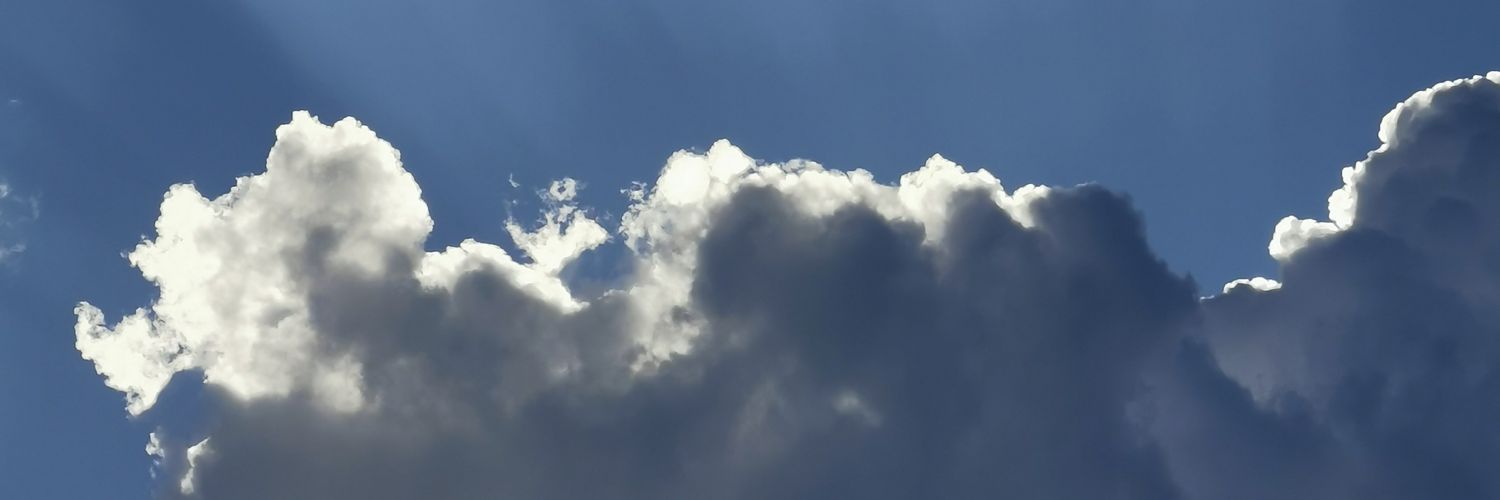 typicoso's profile banner image